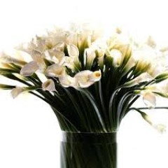 Seller Image