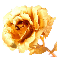 Seller Image