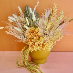 Seller Image