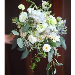 Seller Image