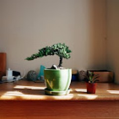 Seller Image
