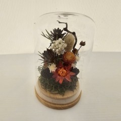 Seller Image