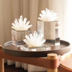 Seller Image