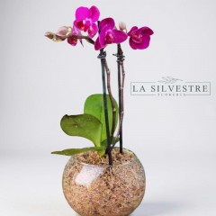 Seller Image