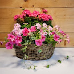 Seller Image