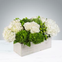 Seller Image