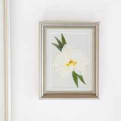 Seller Image