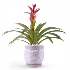 Seller Image