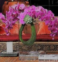 Seller Image