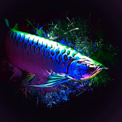 Seller Image