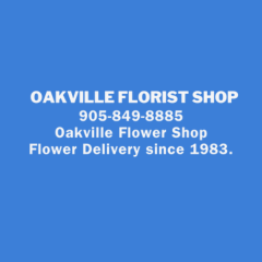 Seller Image