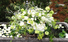 Seller Image