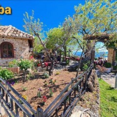 Seller Image
