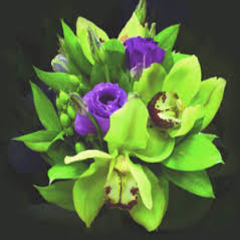 Seller Image