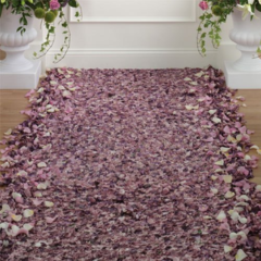 Seller Image