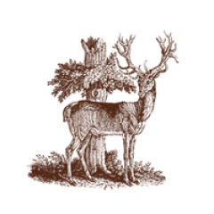Seller Image