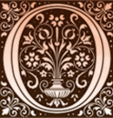 Seller Image