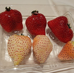 Seller Image