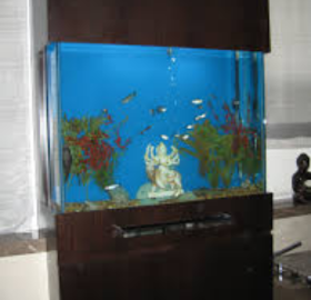 Seller Image