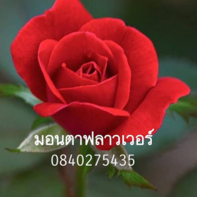 Seller Image