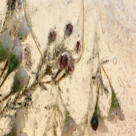 Seller Image