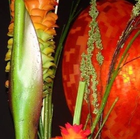 Seller Image