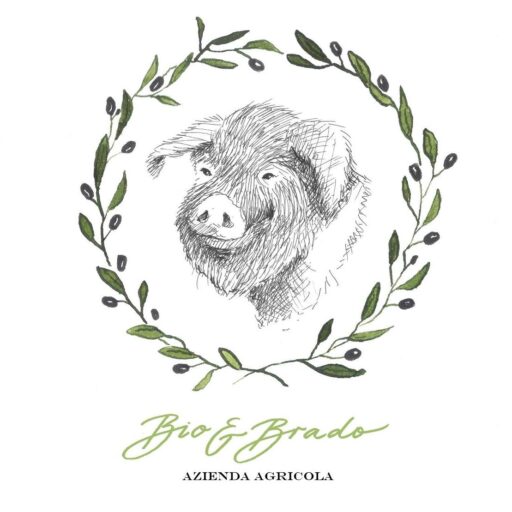 Seller Logo