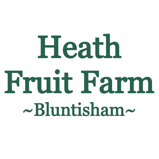 Seller Logo