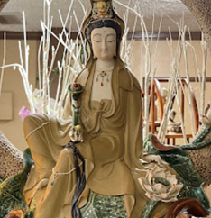 Seller Image