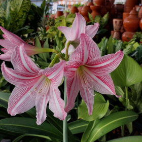Seller Image
