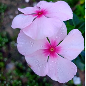 Seller Image